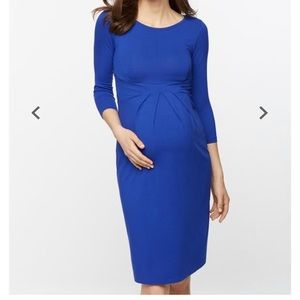 Isabella Oliver Ivybridge Pleated Maternity Dress